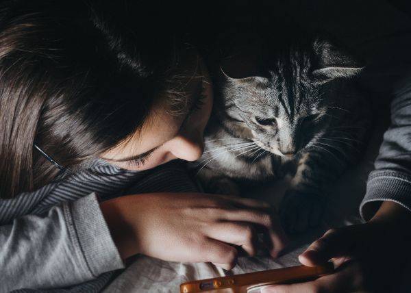 Sie schreibt nicht zurück Introvertiertheit Flirten im Chat miteinander chatten